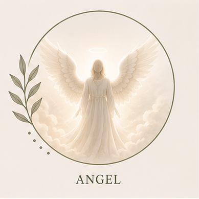 OPTION 1 = Angel option for 1 person only.