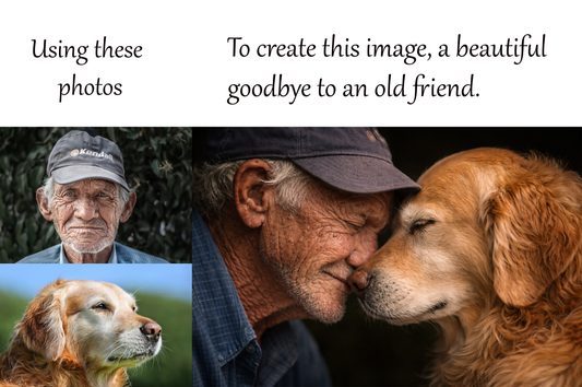 OPTION 6 = Pet memorial